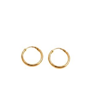 Minimalist Golden Hoop Earrings